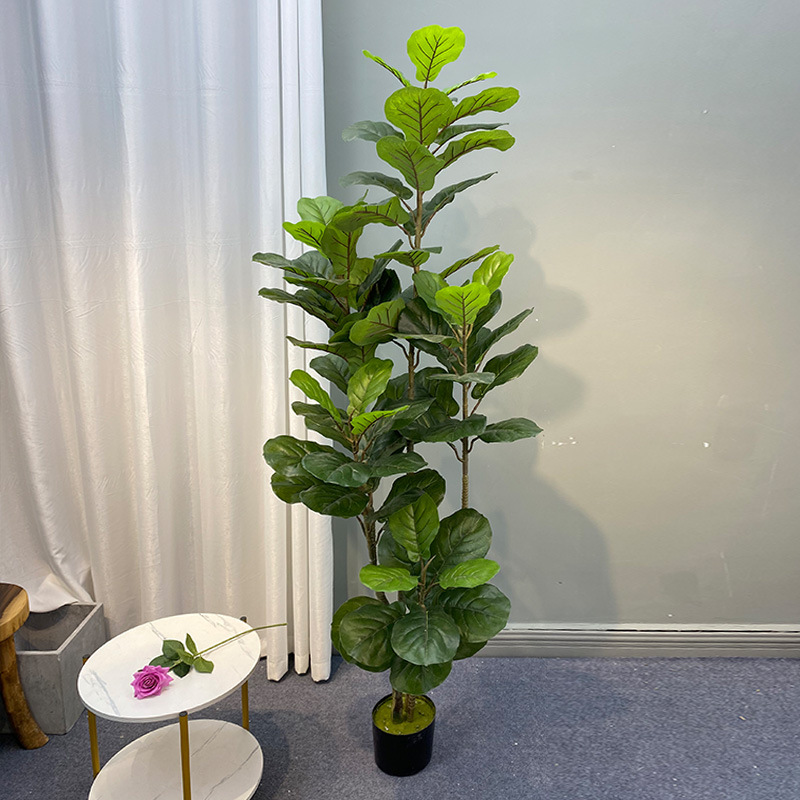 Árbol de Ficus grande de 59 pu - Home Office Layout reseña y precio