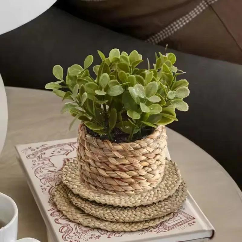 Planta en maceta pequeña, plan - Home Office Layout reseña y precio